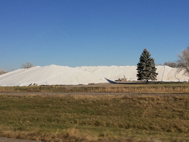 Corn piled in northwest Minnesota in mid-November 2016. Piles like this can last through the winter, especially if corn was dry and is piled on a concrete slab, then equipped with fans underneath the tarp to keep air moving. (DTN photo by Mary Kennedy)